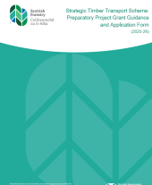 STTS Preparatory project application form and guidance 2025-6